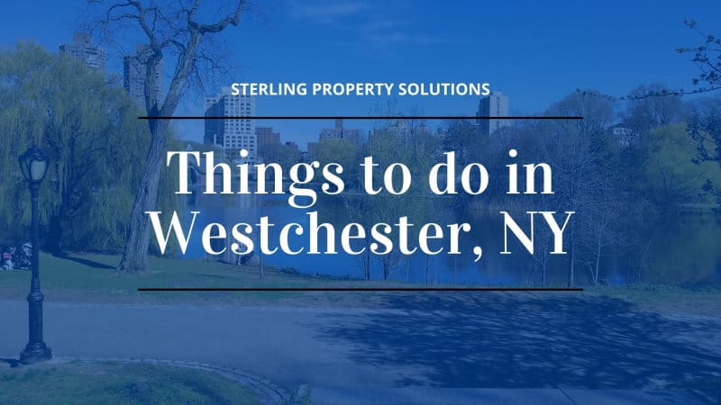 things to do in westchester ny